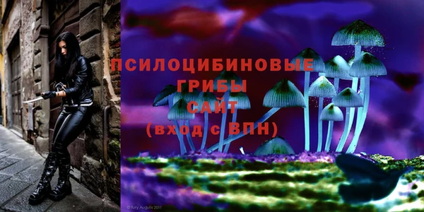 ECSTASY Балахна