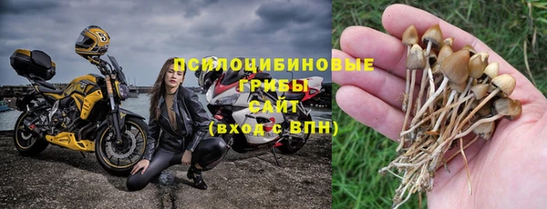 винт Баксан