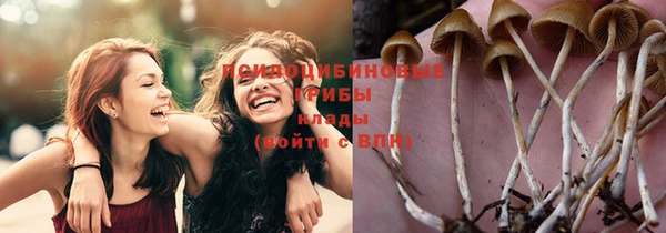 стаф Балабаново