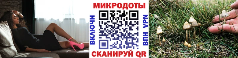 Галлюциногенные грибы Psilocybe Вуктыл